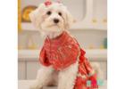 Dress Your Pup in Festive Dog Clothes This Season