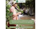 Unforgettable Tambopata Jungle Adventure Tours in the Amazon