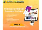 Professional Website Developer in Jaipur