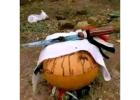 Sangoma In JOHANNESBURG⓿-☎+27672740459 With Bring Lost Love Back, Win Court Cases, Revenge.