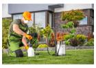 Pest Control Rocky Mountain House