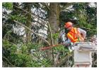 Trusted Bucket Truck Services PG County for Homes & Businesses
