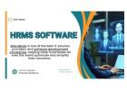 HRMS Payroll Software in India | Best HR & Payroll Solution by Elite Mindz