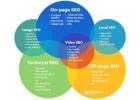Trusted SEO Specialist Geelong for Long-Term Results