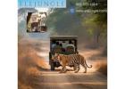 Jaipur Ranthambore Tour Package for Family and Wildlife Holidays