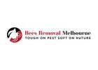 wasp nest removal services Melbourne 