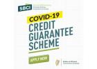 COVID-19 Credit Guarantee Scheme