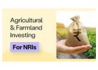 Deep Dive into Agriculture Loans in India: Types & Challenges