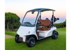 Golf Cart Solutions in Riyadh, Saudi Arabia | Saudi Golf Carts