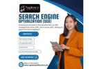 Affordable SEO & Website Promotion Services in Delhi