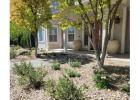 Backyard Designers Near