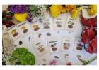 The Medicinal Garden Kit