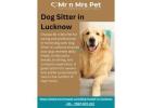 Dog Sitter in Lucknow
