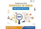 Professional SEO Services in India – Web Brain Infotech