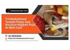 Trimbakeshwar Temple Pooja And Narayan Nagbali Puja At Best Cost