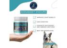 Hypoallergenic Dog Food | Annamaet.sg