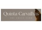 Luxury retreat venue – The perfect setting for renewal