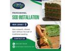 Sod Installation in New Jersey