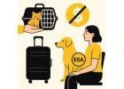 Spirit Airlines Baggage Policy Made Simple – Contact +1-855-662-4577
