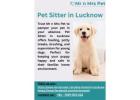 Pet Sitter in Lucknow