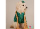 Diwali Paw-someness: Dress Your Pup in Dog Kurta & Dog Lehenga