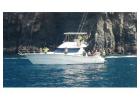 Private Luxury Boat Tour Tenerife | Privatetourtenerife.com