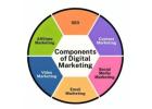 SEO Agency in Noida