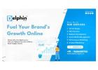 Performance Marketing & PPC Agency in Bangalore – Delphin Digital