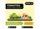 Termites are Great for Forests But Terrible For your Home
