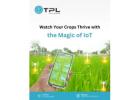 Iot Solutions Provider in Jaipur