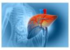 Experienced Liver Specialist Doctor in Ludhiana  