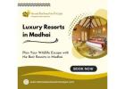 Resorts in Madhai: Best Stays for Nature Lovers and Safari Travelers