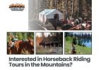 Interested in Horseback Riding Tours in the Mountains?