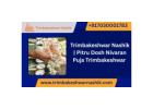 Trimbakeshwar Nashik |  Pitru Dosh Nivaran Puja Trimbakeshwar 