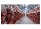 Bovine Beef Wholesale, Wholesale Frozen Chicken