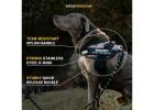 Explore Premium Dog Accessories Online for Every Need