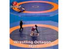 Best Price Wrestling Octagon Mat in Delhi | Gravolite