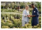 Trusted Tree Care Experts For Healthier, Safer Trees