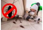 Need the best solution for cockroach pest control or cleaning services in Sharjah?