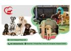 Delhi Pet Boarding Experts | Happypettings