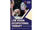 Low Vision Occupational Therapy in Florida - Injury Assistance Network