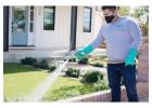  Bed Bug Exterminator in Mesa AZ - Arizona Pest Solutions
