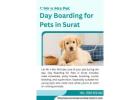 Day Boarding for Pets in Surat