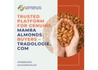 Trusted Platform for Genuine Mamra Almonds Buyers – Tradologie.com
