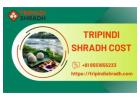 Experience Peace With Tripindi Shradha Puja Benefits