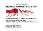 Indonesia Import Data – Verified Customs Shipment Records & Trade Insights