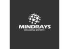 Mindrays Digital Marketing Agency