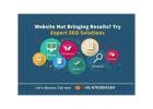 Website Not Bringing Results? Try Expert SEO Solutions
