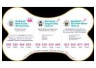 Gentle and Professional Dog Grooming