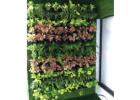 Trusted Green Wall Vendors in Mumbai – Greenlands India 